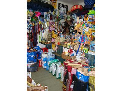 Dinomarket.cz foto 4