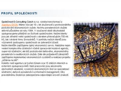 E-Consulting Czech, s.r.o. foto 2
