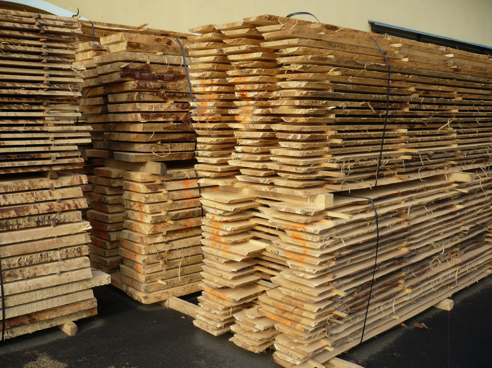 Ryko - Podmokelská obchodní foto 2