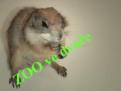 Zoovedvore.cz foto 4