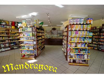 Mandragora foto 2