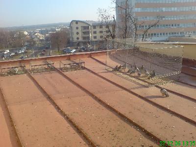 RADEXA foto 2