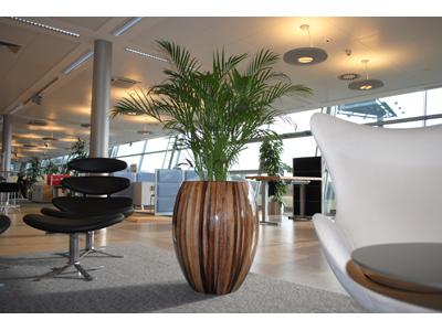JUNGLE INTERIORS, s.r.o. foto 1