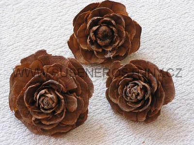 Sušené květiny velkoobchod Hádlík foto 2