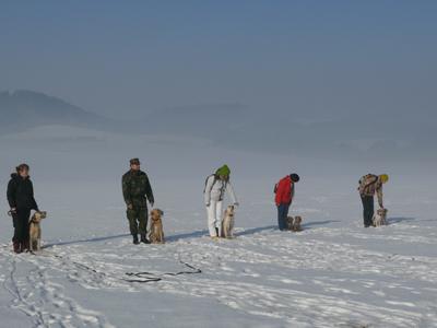 Výcviková škola psů Alanshop foto 3