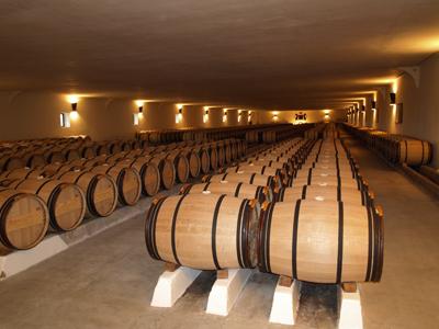 Good Wine Lover - GWL- Vinnyshop foto 3