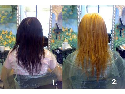 Hair atelier Kalliope foto 4