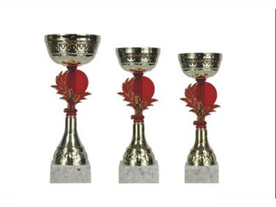 SPORTOVNÍ POHÁRY s.r.o. foto 3