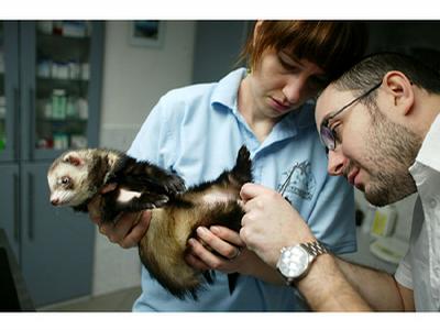 Animal Clinic - MVDr. Jan Hnízdo foto 2