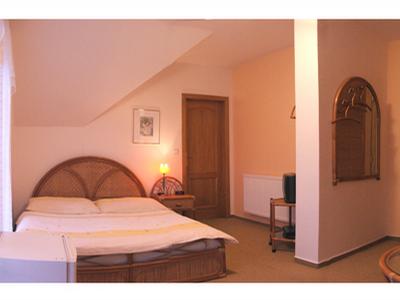 Habermannova vila foto 4