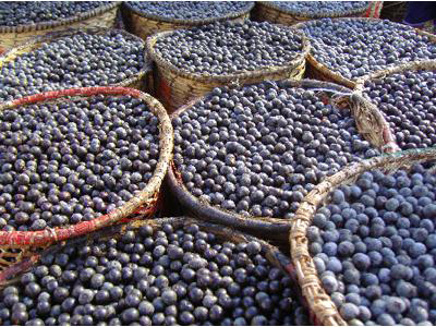 Superberry.cz foto 2