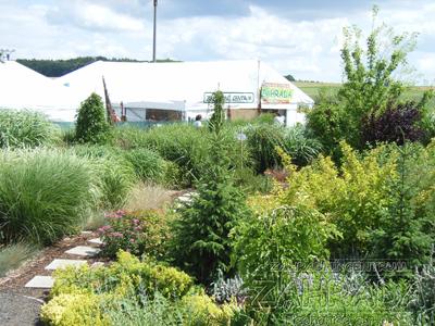 ZAHRADNÍ CENTRUM - ZAHRADA Nechanice s.r.o foto 2