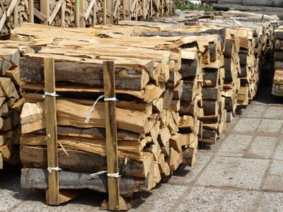 Jan Kolowrat-Krakowský foto 2