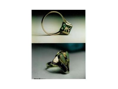 Zlatník Vítězslav Čech foto 2