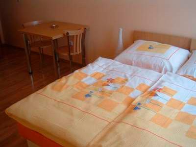 Penzion-restaurant U Hofmanů foto 6