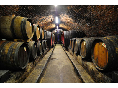 RAJHRADSKÉ KLÁŠTERNÍ - vinné sklepy foto 3