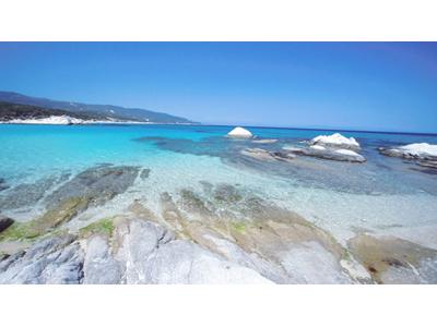 ELECTRA TOURS foto 3