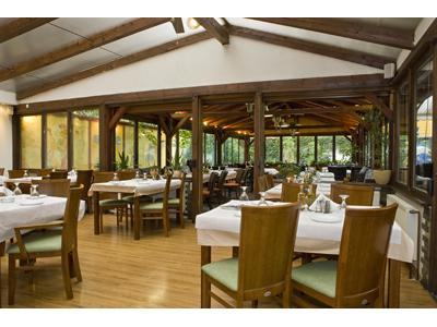Taverna Olympos