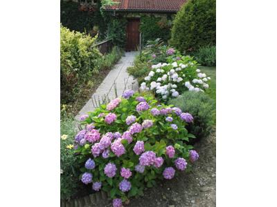 AZANATURA s.r.o. foto 3