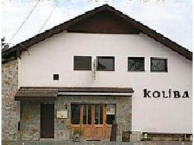 Hotel Koliba foto 2