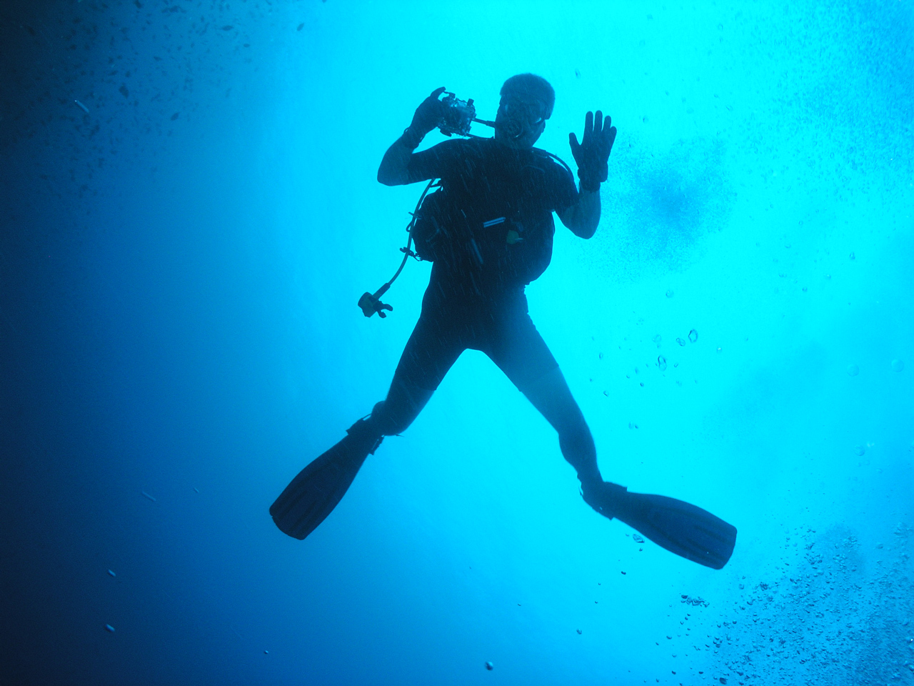 PISCES DIVING WORLD foto 3