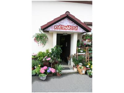 Květinářství a zahrádkářské potřeby Daniela Kosečková foto 2