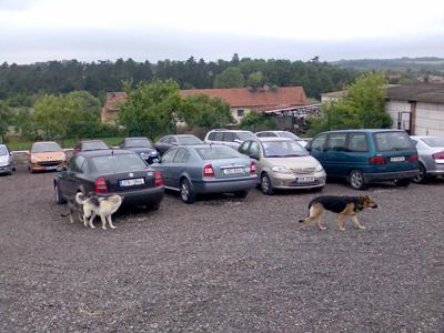 Parkoviště RICHTER foto 3