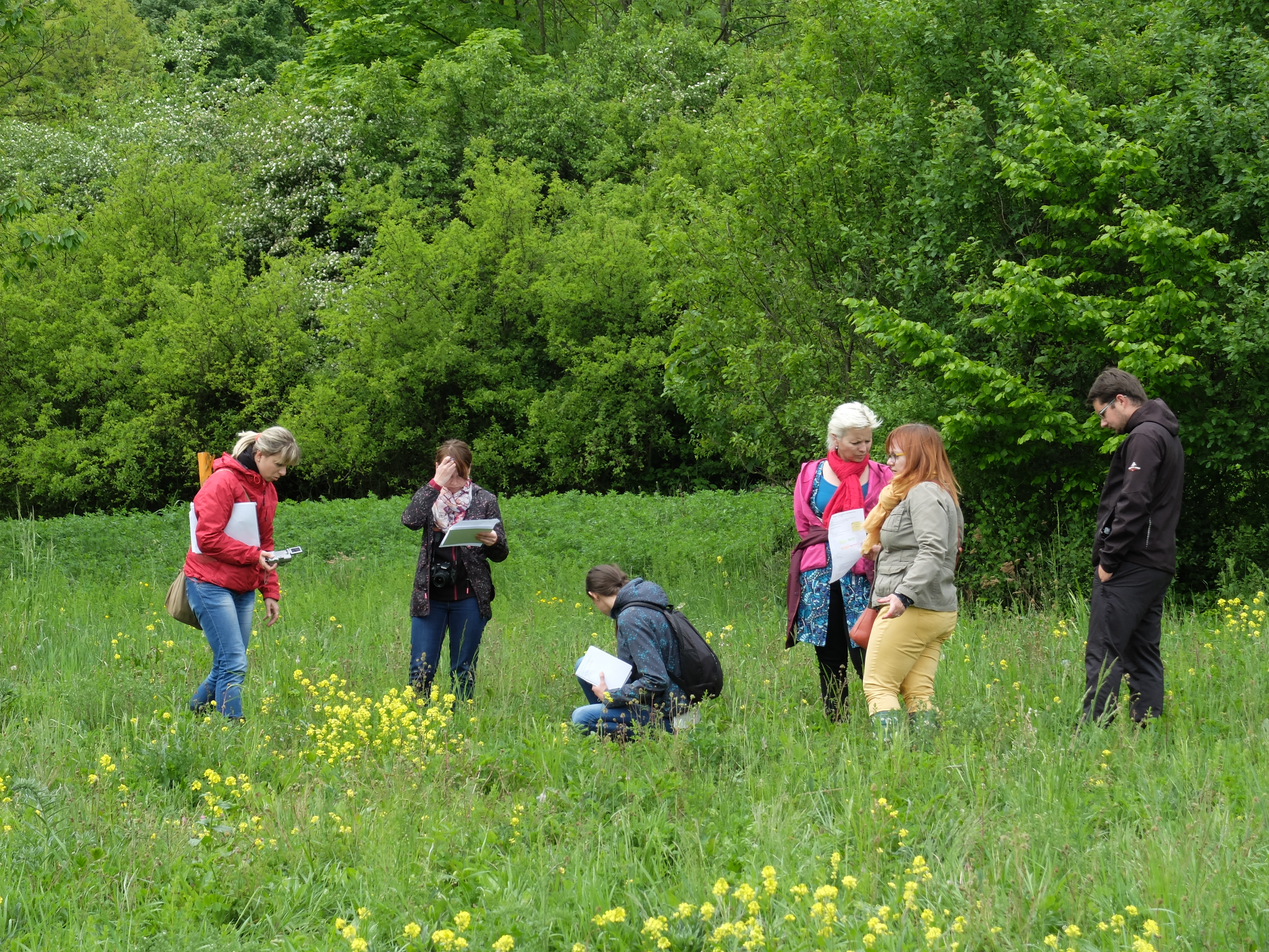 Kvetnatelouky.cz foto 2