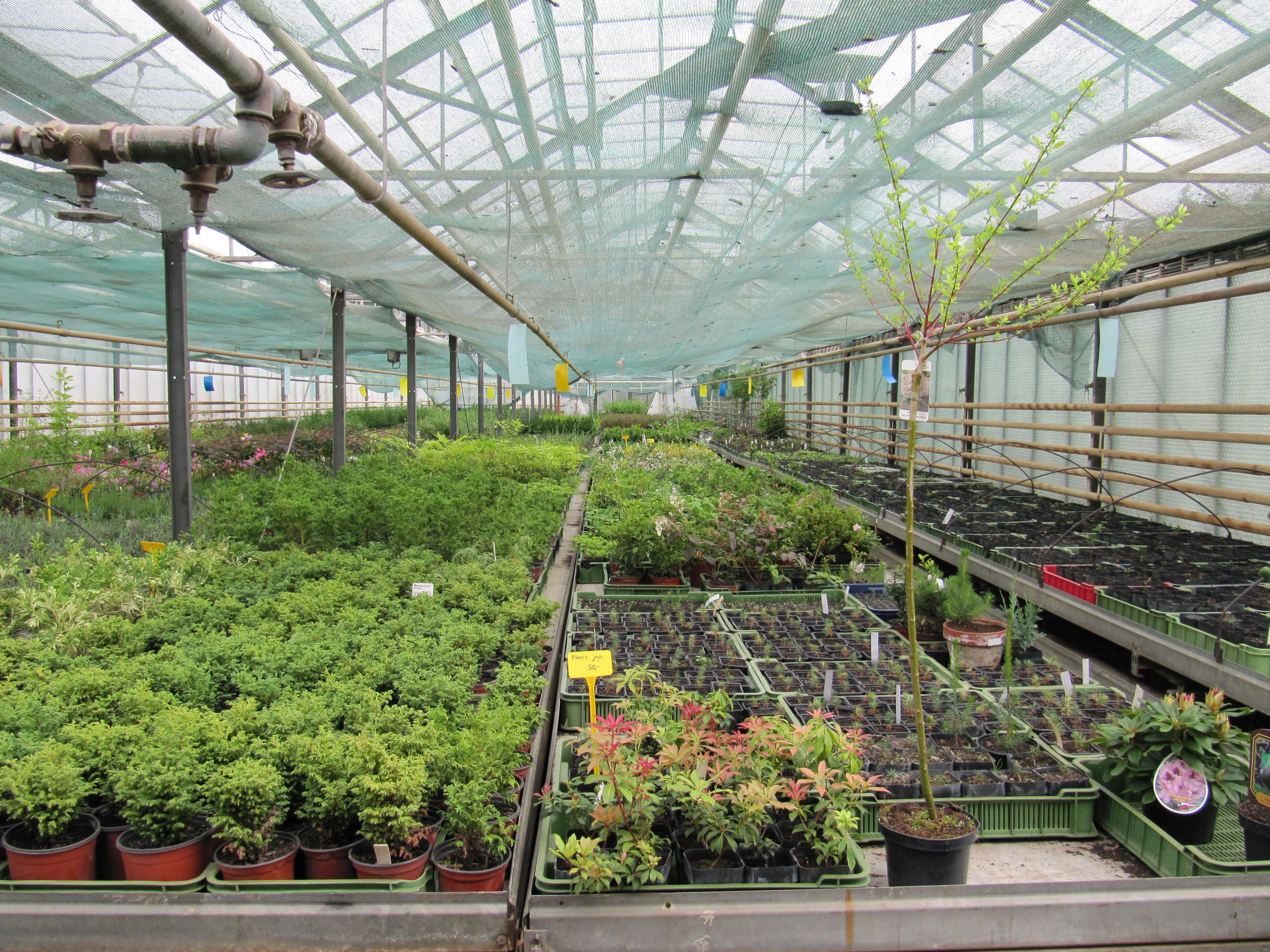 Lesní školka Vědomice s.r.o. foto 2