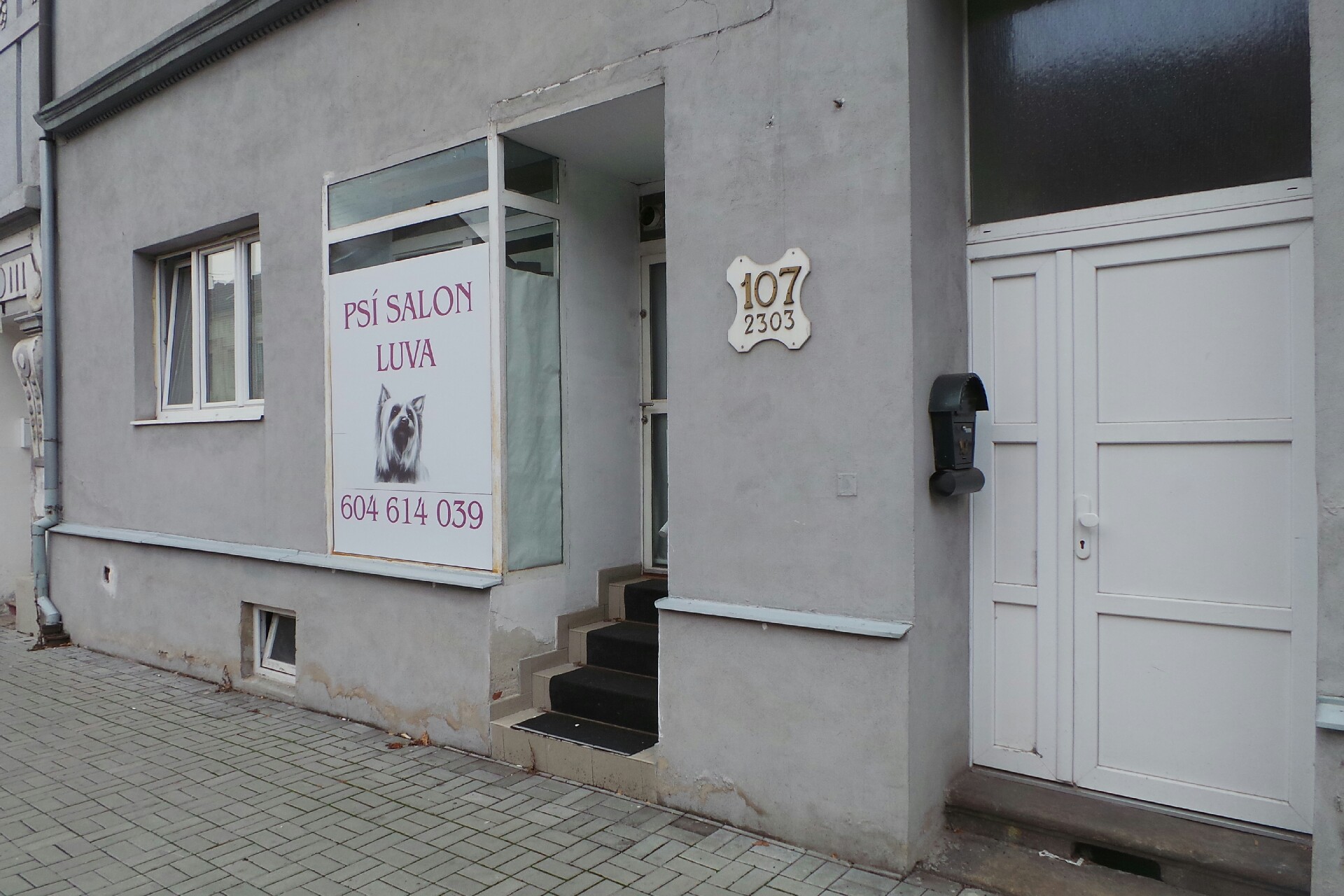 Psí salon Luva