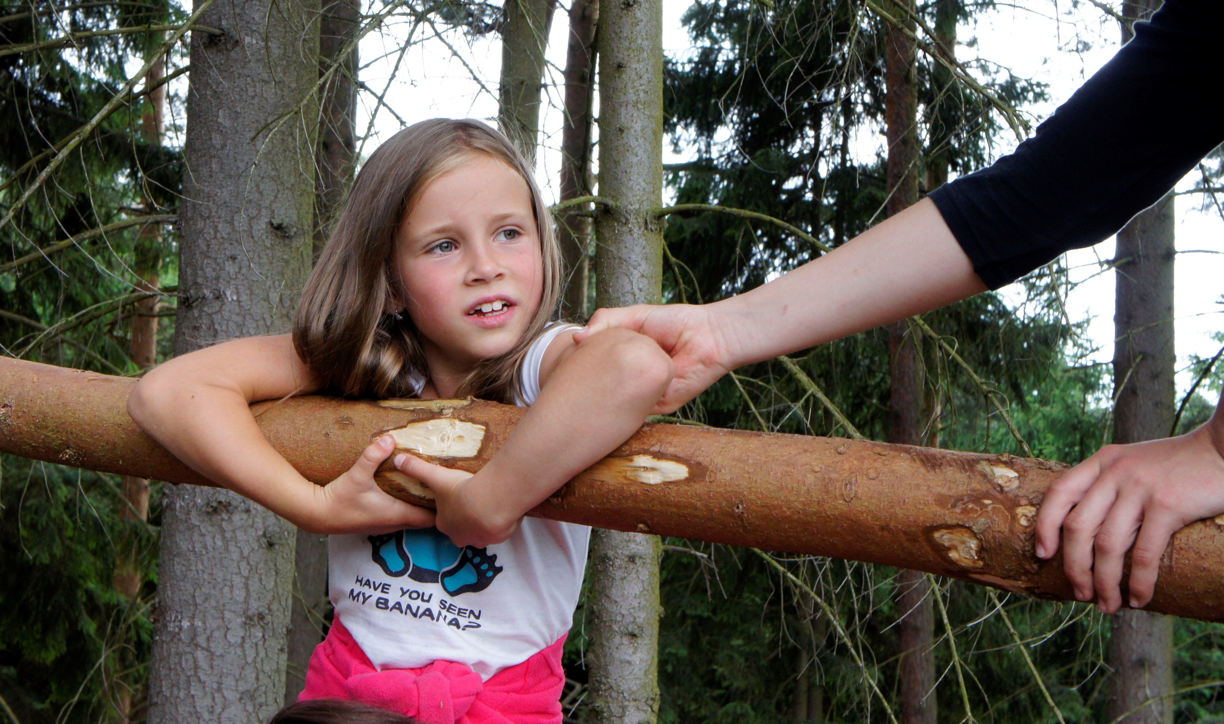 Pionýrská skupina Záře foto 3