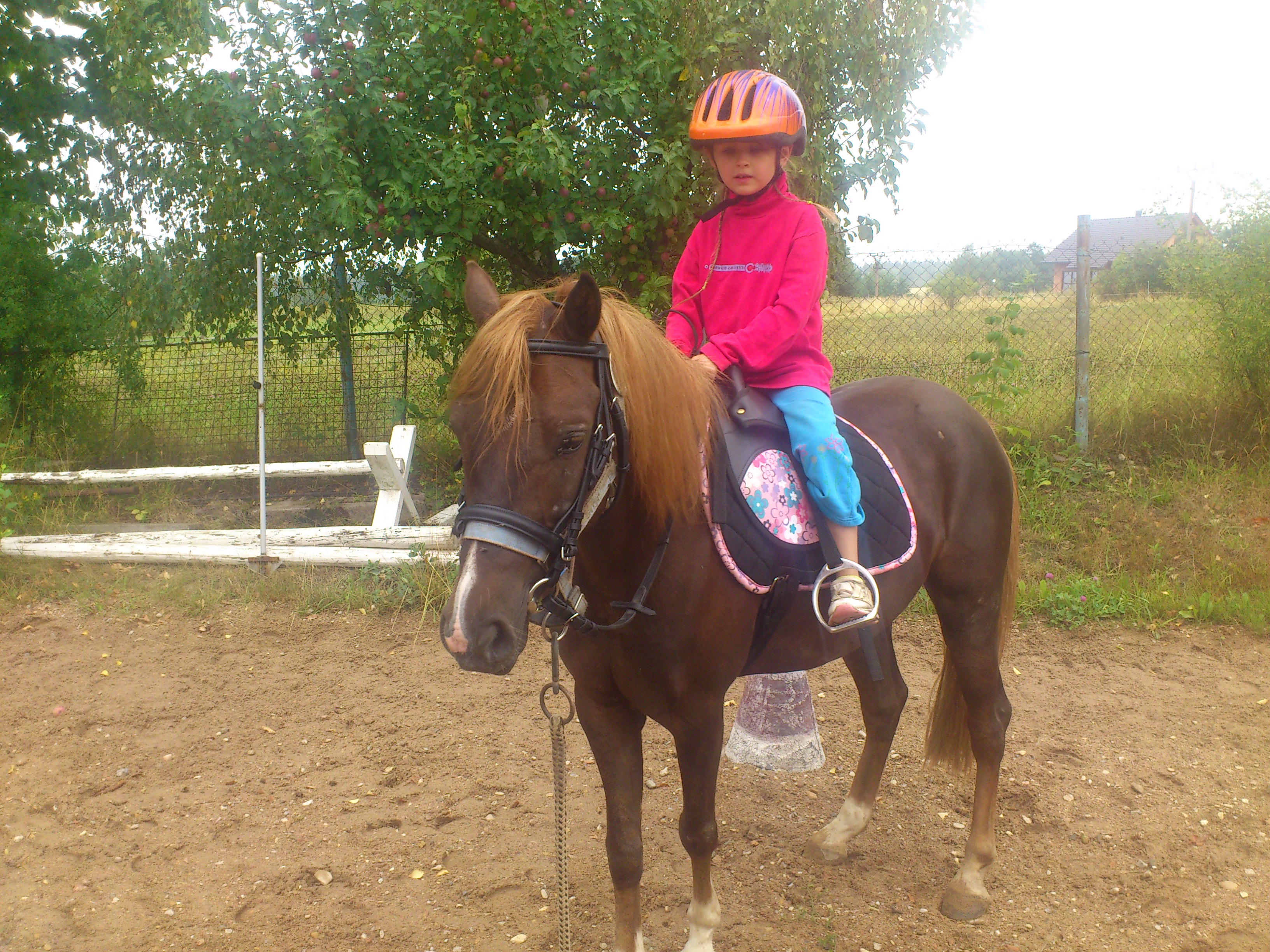 Petra Vávrová foto 6
