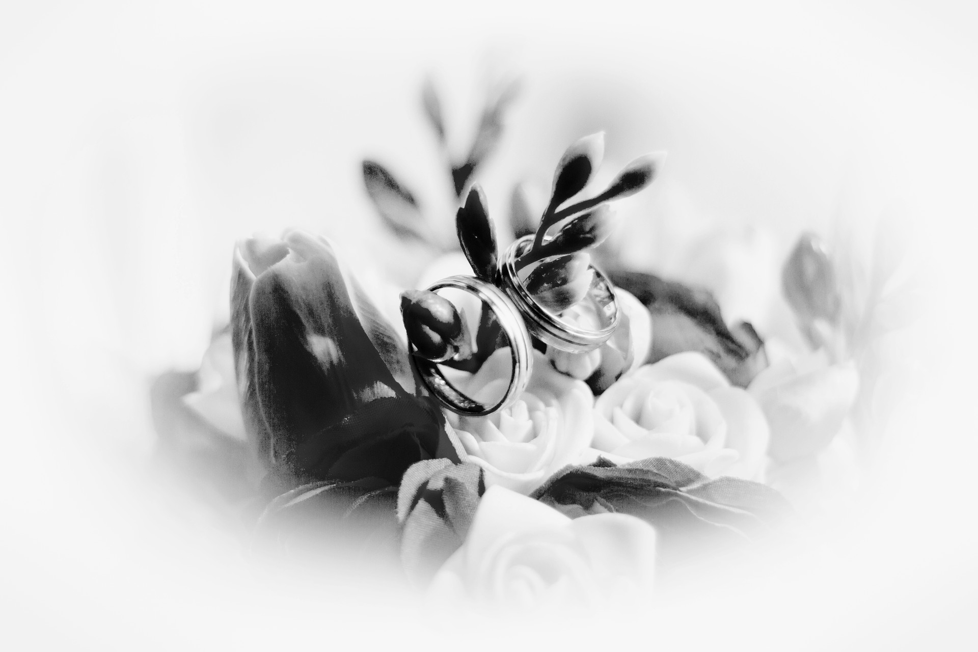 Rostislav Smolej - foto foto 3