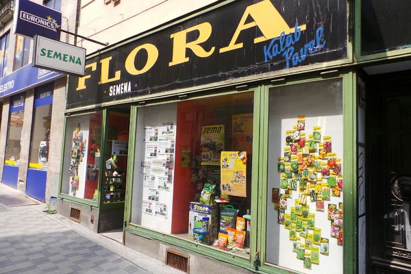 Semena Brno Janska