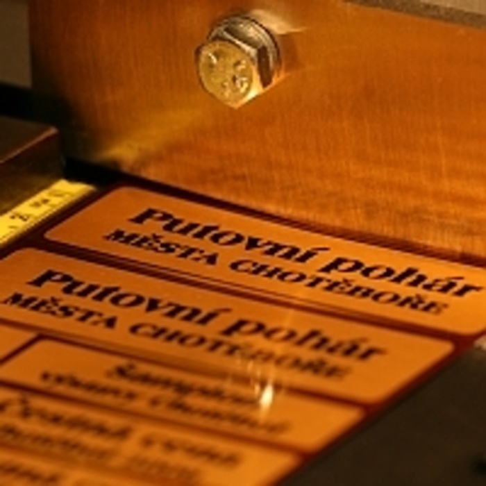 Poháry Sport hobby foto 3