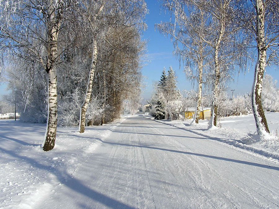 Farma Všechromy foto 3