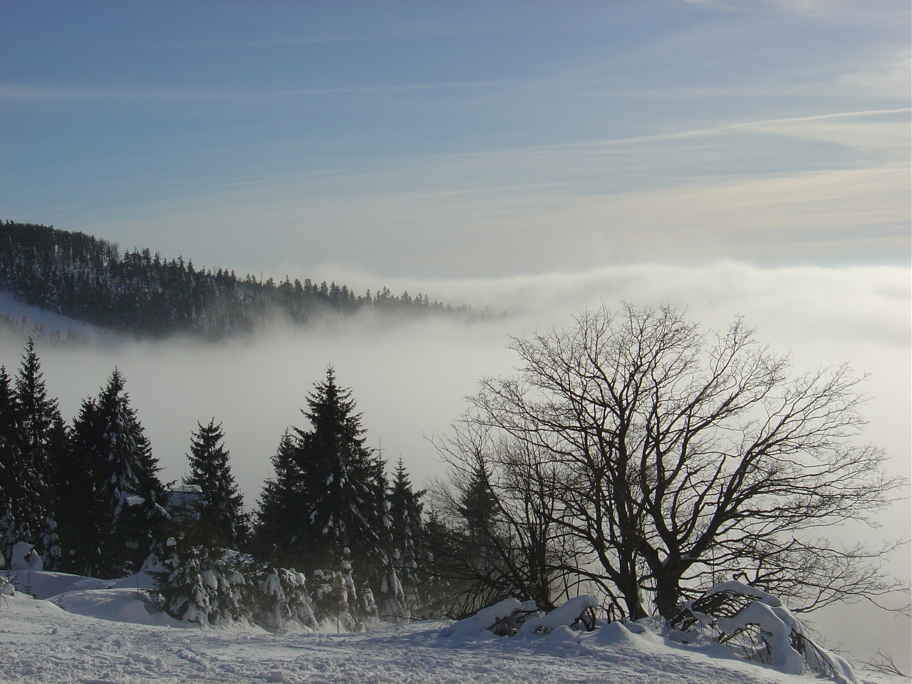 Pozemky Čenkovice foto 2