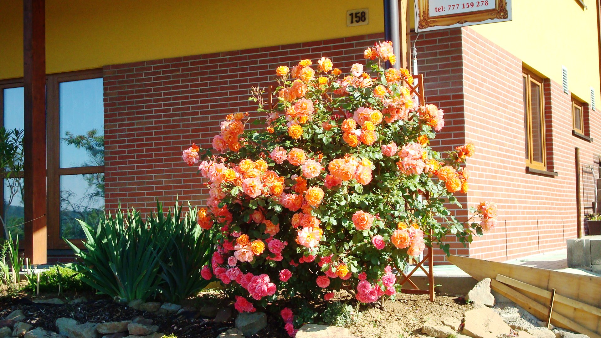 Rámování Helika foto 2