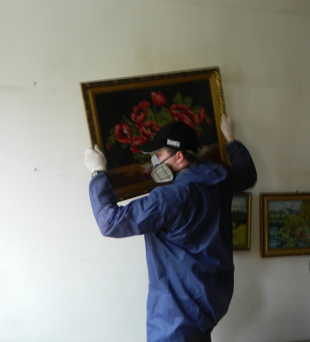 Borovanský - Deratizace - dezinfekce - dezinsekce foto 6