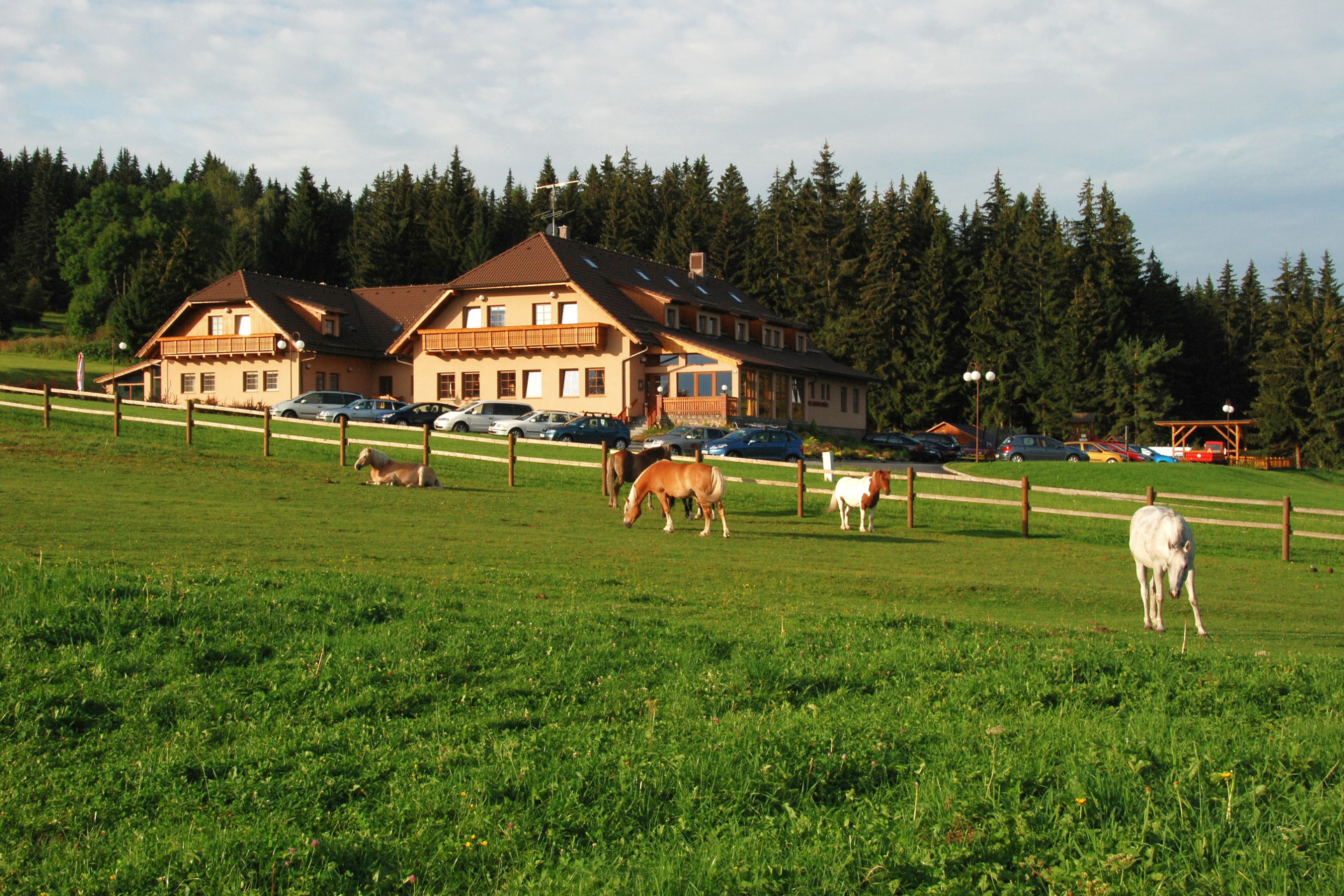 Restaurace Elsyn Dvůr