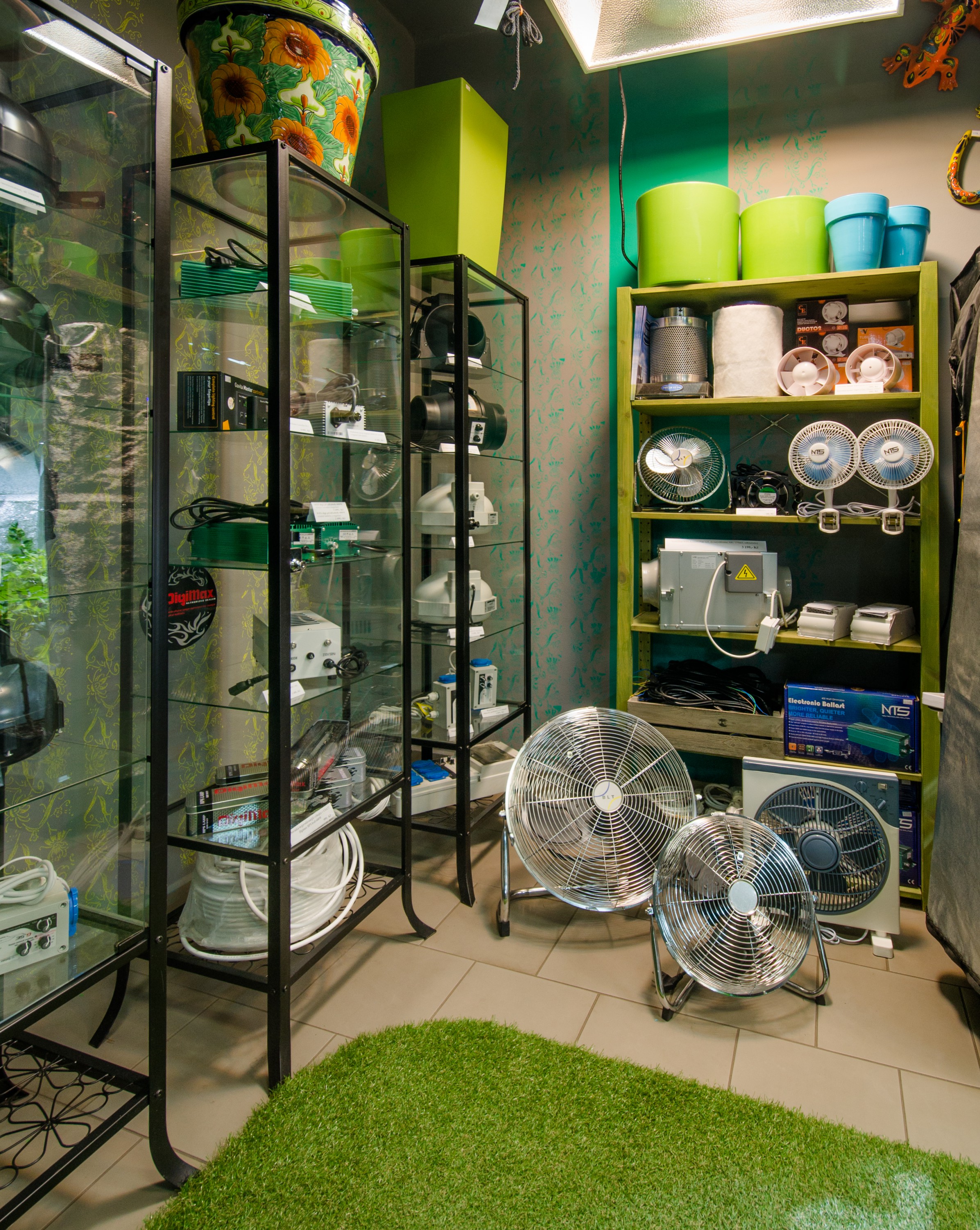 Grow4u.cz foto 4