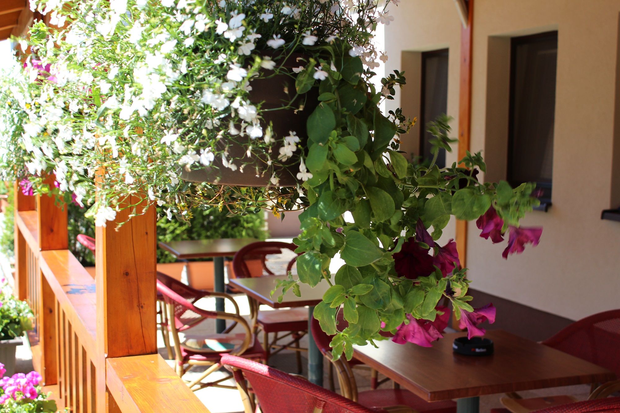 Penzion Karlos Třeboň foto 5