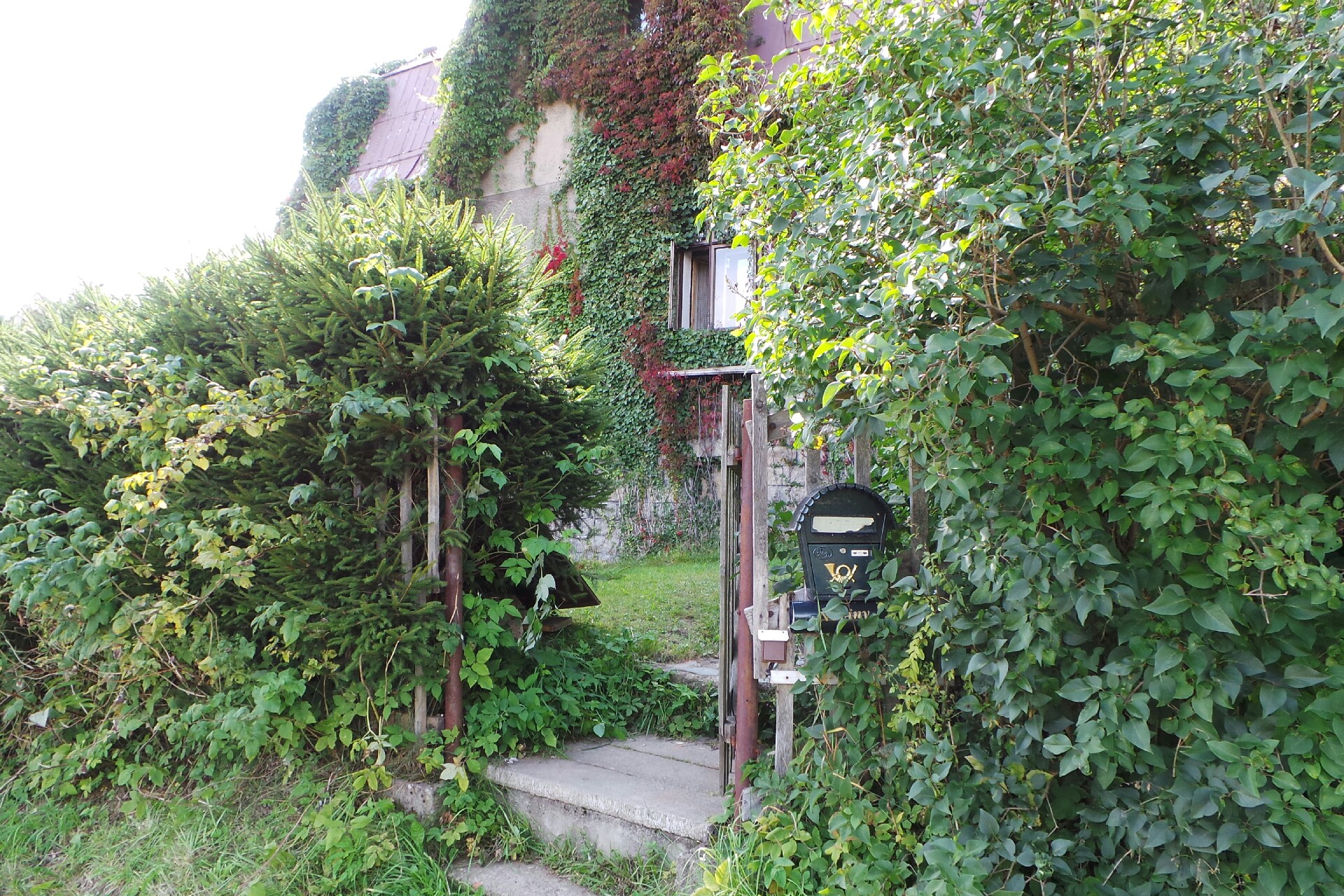 Martin Reček-Piana & mechaniky