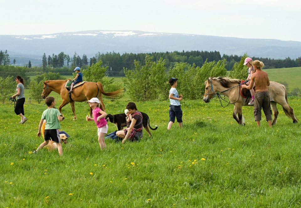 Usedlost Jasanka, obecně prospěšná společnost foto 5