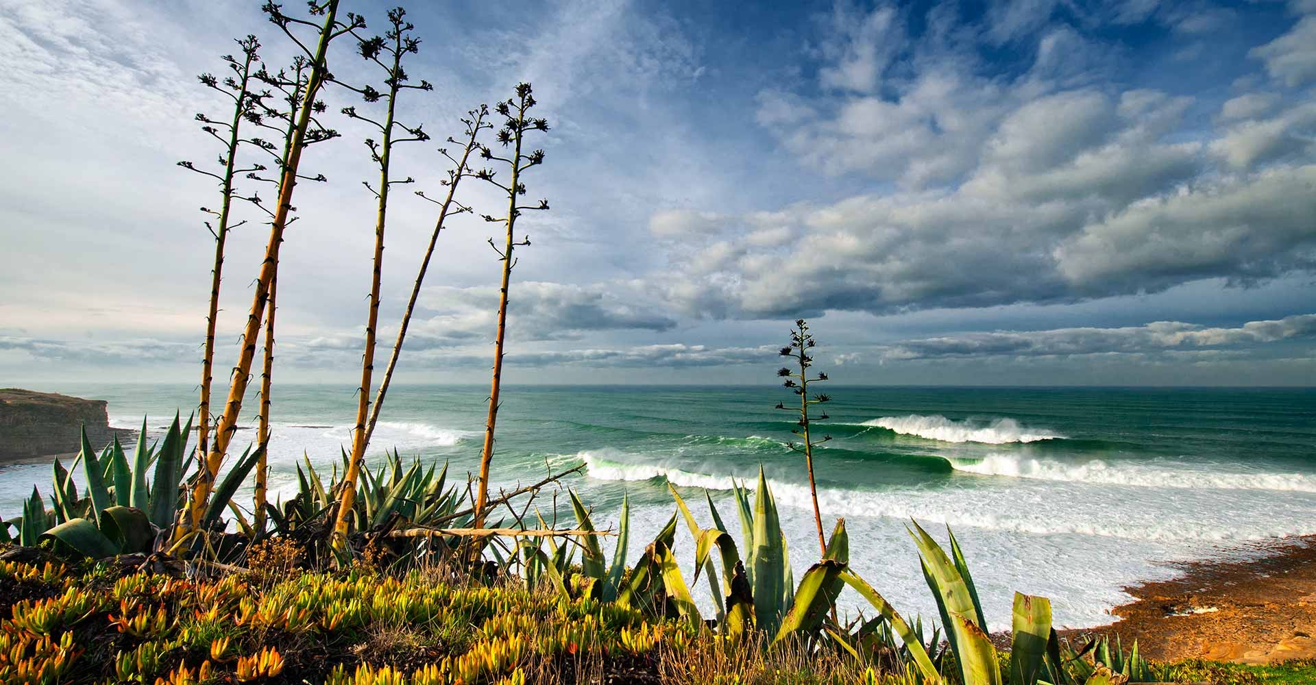 SURF Dovolená, s.r.o. foto 2