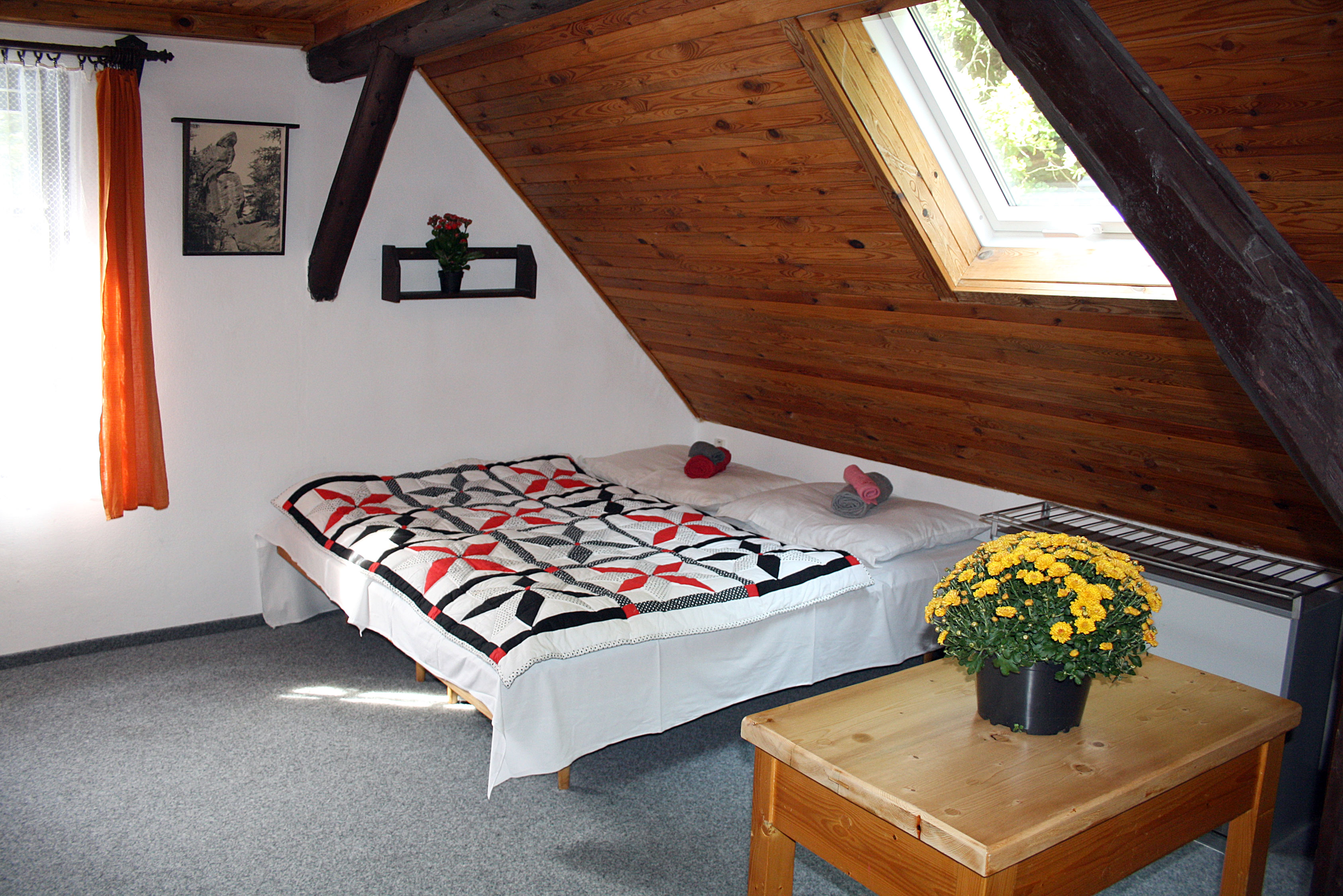 Penzion U Skalního potoka foto 3