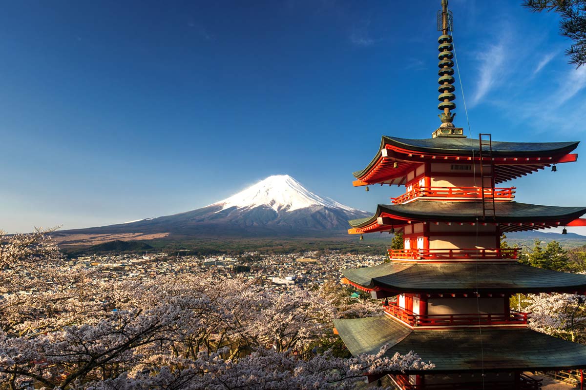 Go2 Japonsko foto 6