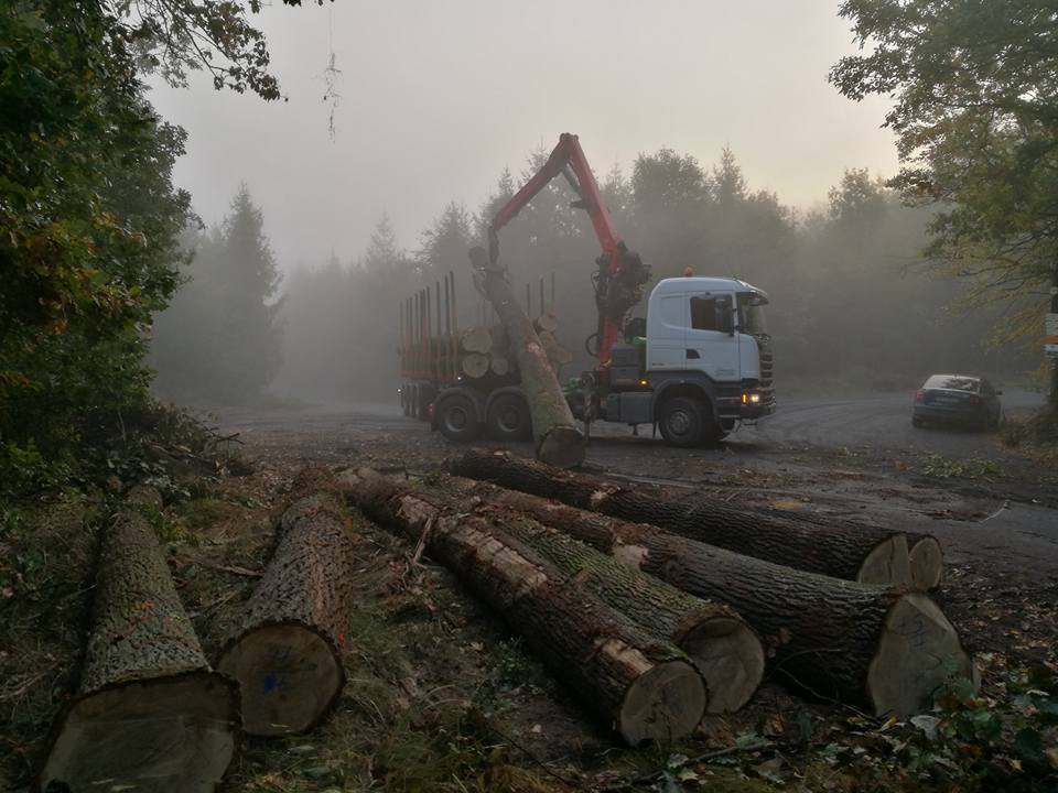 HOŠEK-Dřevo foto 4