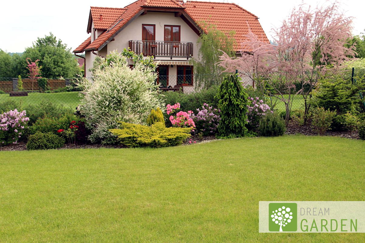 Dream Garden foto 2