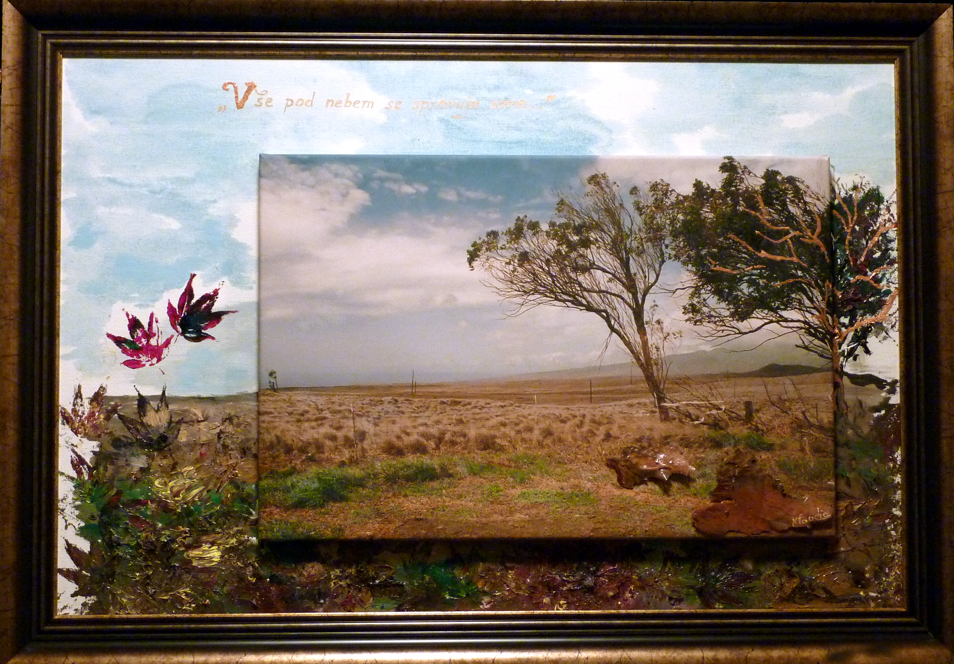 Klaudie Slunečná - Autorská galerie Centrum Radosti foto 2